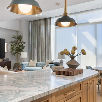 Two-Story Penthouse Renovation, W Dallas South Tower
