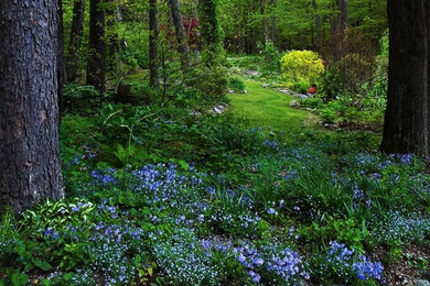 Photo of a farmhouse landscaping in Boston.