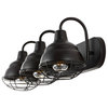 Levi 24.5" 3-Light Industrial Farmhouse Iron LED Vanity, Black