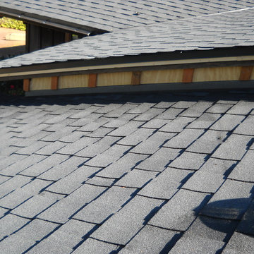 CertainTeed Landmark TLs in Moire Black