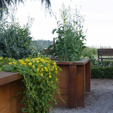 Argyle Park