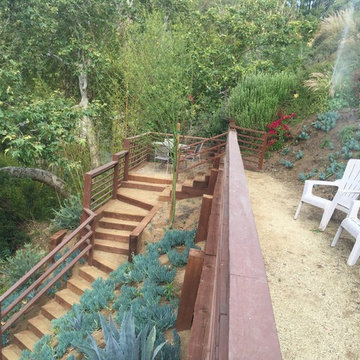 Hillside landscape and front yard