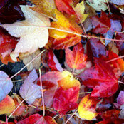Douglas Newton's photo