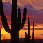 Betty Rohde's photo