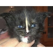 Jane Skare Martinsen's photo