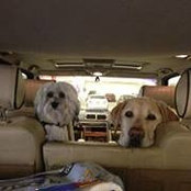 Pat MacLaggan's photo