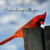 Foto di Sue Osgood