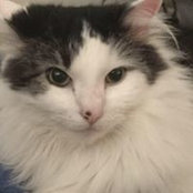 Penny Smith's photo
