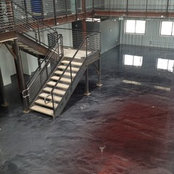Jason Lee's photo