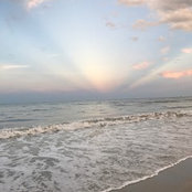 Tonya Steele's photo