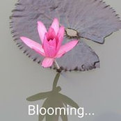 Nghia Phan's photo