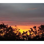 Foto von Eileen McNeill-Freund