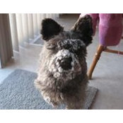 Colleen Bailey Fischer's photo