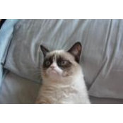 Christopher Saunders's photo