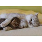 Julie Cunningham's photo