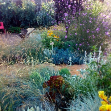 Secret garden in Berkeley