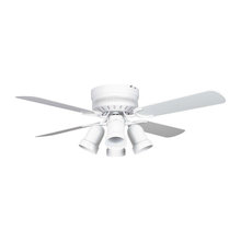 ceiling fans