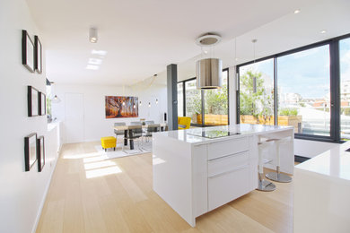 Design ideas for a mid-sized contemporary eat-in kitchen in Paris with light hardwood floors and with island.