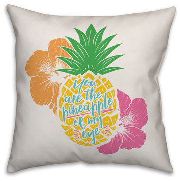 You Are the Pineapple of My Eye 20x20 Throw Pillow Cover