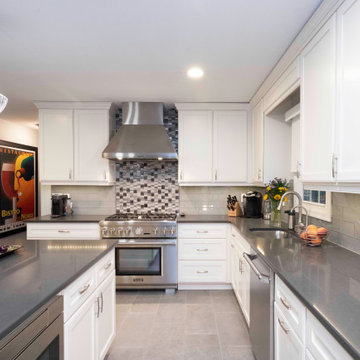 Modern Kitchen Cabinetry