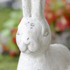 A&B Home Long Ear Rabbit Statue 8.5X5X18.5"