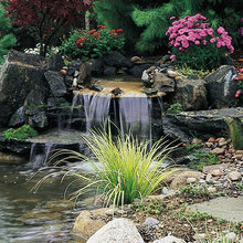 Waterfall pond