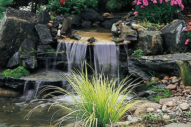 Inspiration for a contemporary landscaping in DC Metro.