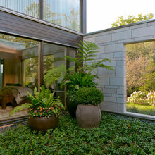 Container Plantings