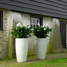 Items for the house