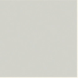 LIGHT GREY 5290 - Products
