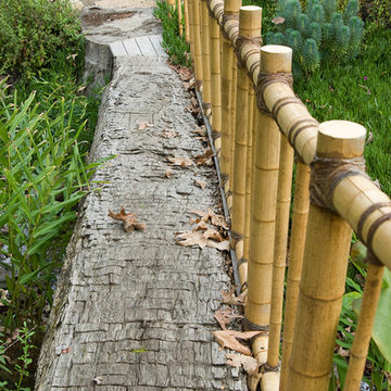 Camino Vieja