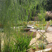 xeriscape