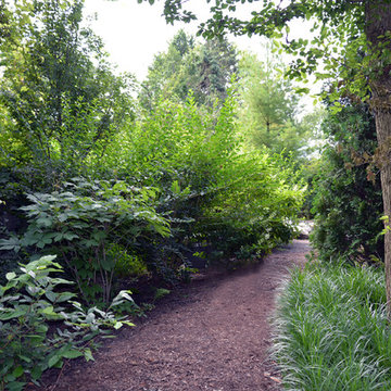 Renovating an Elegant Landscape