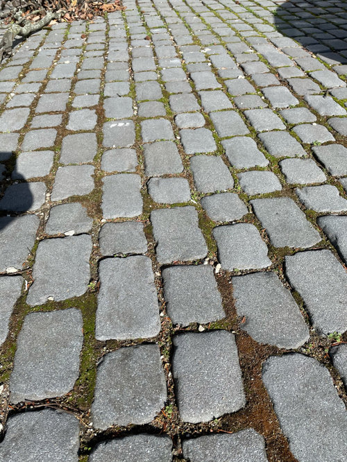 Help Filling In Cobble Stone Paver Joints