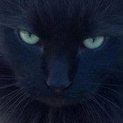 Rodney Kennedy's photo