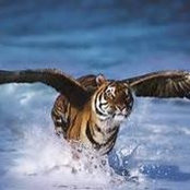Martin Best's photo