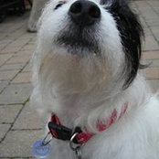 Ann Byrne's photo