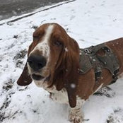 Beth Gainer's photo