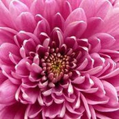 Debbie Johnson's photo