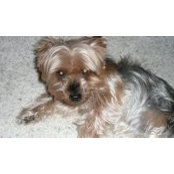 Nancy Andrus Rech's photo