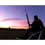 Sonny Joseph's photo