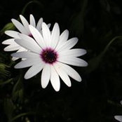 Maria Gauci's photo