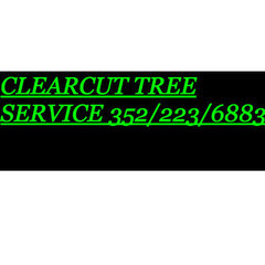 Clearcut Tree