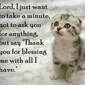 Lori Womack's photo