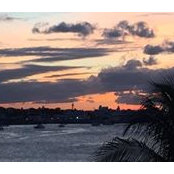 Donna Schwake's photo