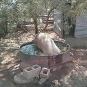 Chad Roche''s photo