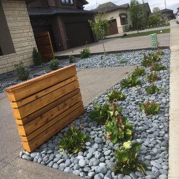 Asymmetrical Backyard