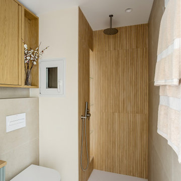 Proyecto Numancia