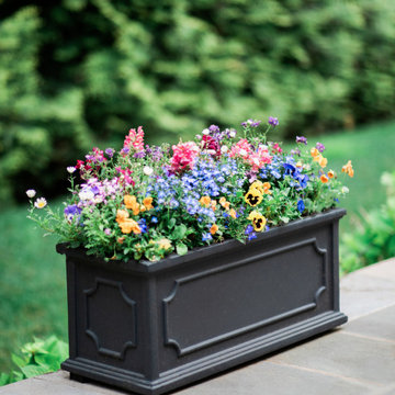 Early Spring Containers