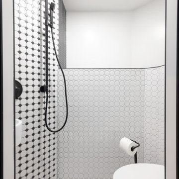 Bush St., Pacific Heights Bathroom Remodel & Basement Conversion